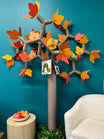 Pressed against the wall taking up only 50cm of floor space, this tree is the perfect 3D tree for tight spaces
