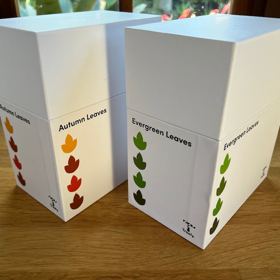 boxed leaf kits by Treely make classroom organisation easy