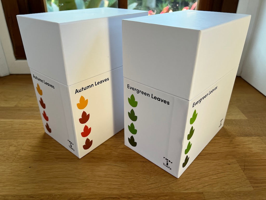 boxed leaf kits by Treely make classroom organisation easy